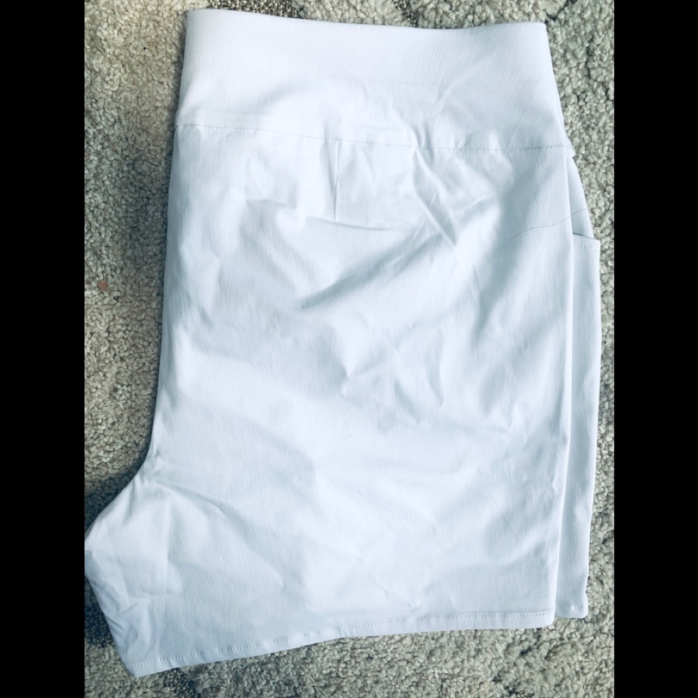 2 Pair INC Internation Concepts INC Size 20 Shorts